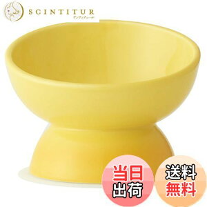 yzXP[^[ (skater) Zp H 퐻 ybga L }bgt CG[ CHOB3