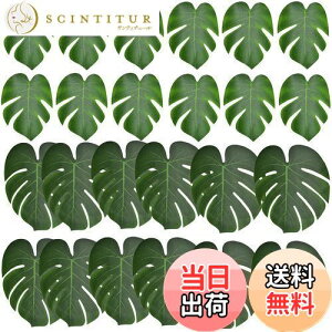 yzBestgleXe̗t lHt t sȂtFCNO[ 24ZbglϗtA T̗t  Be p ins Ǌ| CeA 