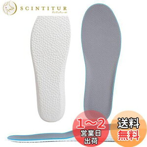 yz[Kozzim] V[Nbg C\[ ~ Ռz gAbv Iׂ鍂3TCYy1.5cm/2.5cm/3.5cmz