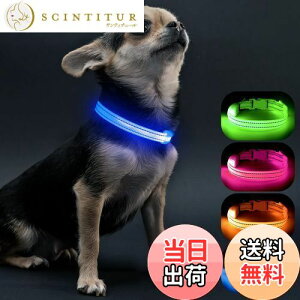 yzVisinite LED, ^ U CgUSB[d, qLɓK߉\Ȓ, y, Â  300m悩ڎ\,  Cg邠ȂɏȌLڂɌĈ