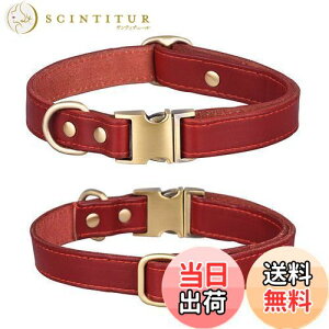 yz  v ̎ _炩 ߉\ ^ ^ ^ pi  ʋC 킢 (, M)