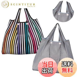 yz[GOKEI] GRobO y2 50×67cm eʁz ܂肽 obO RrjobO hf [ ≘ɂ y RpNg