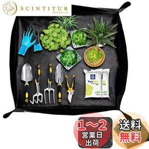 yzSensaBliss |V[g AւV[g 75cm*75cm ` h h~ K[fjOV[g A ̐Aւ y ڐA y}bg cg[ ye  O 