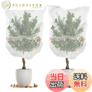 yzSensaBliss hlbg AیJo[ hlbg 2 bVВ ʋC   lbg  悯Jo[ ƒ؉ ؍͔| Ԓd ʎ v^[ Ap