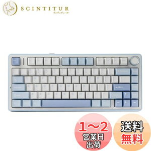yzEPOMAKER x Aula F75 Q[~OL[{[h KXPbg JjJL[{[h 5wpbhmut 75% CX zbgXbpu Bluetooth/2.4GHz/USB-C RGB ZKF؎擾 (Sea Salt Blue, L