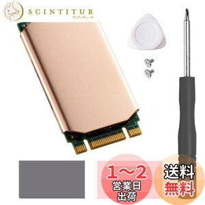 yzHaojiaho M.2 2242 NVME SSDp q[gVN  Mpbht Nvme2242 \bh Xe[g hCu WG[^[ CLbg