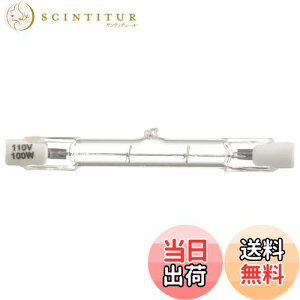 yzI[d@ nQd nQ 100W/110V 1 ZT[Cgp LS-P-1001 06-4921 OHM