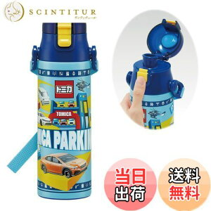 yzXP[^[(Skater) qp XeX   580ml g~J 24 qɗDyʃ^Cv j̎q ۗp waterbottle X|[c{g  LbY q ǂ r SDC6N-A