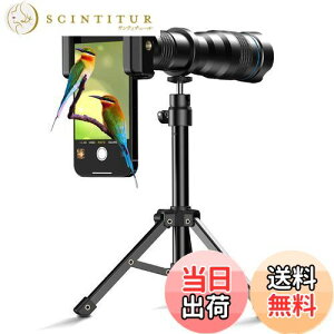 yzApexelX}z]Y 36{ ] @Ή}EgtPዾ ϋvX}z] ȍ\OrtPዾ 99.9X}zɑΉ ^ϐ 싅