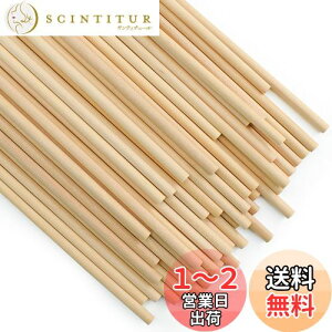 yzEnkrio ؐXeBbN  ؂̖_ 30cm a5mm 50{Zbg ؃_{ ~ ۖ_ h ؍ o[` NtgXeBbN zr[p DIY  H|ANZT[ f (50, 