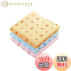 yzKosugizen oX^I poX^I N} 3Fe1 60×120cm ₷^Cv ܂Ƃ߂Ă 3Zbg ST-5808-3