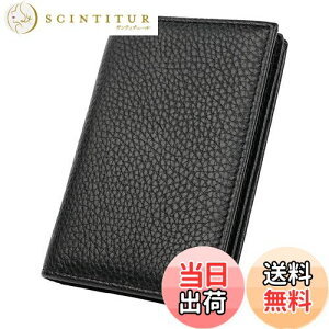 yz[VIPITH] h {v hP[X e  ^ L^Cv oȒP rWlX hP[X AEj Mtg v[g J[hP[X