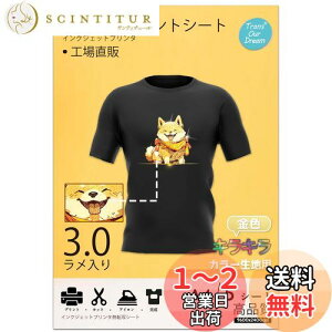 yzTransOurDream ^̓]ʃV[g LLACvgV[g FtbV A4 5 zpLLV[]ʎ EZFnp vgV[g ACvgp TVc