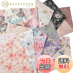 yzTOHYAN A4 ʃfUCy[p[ ԕ ㎿90 fU  1050 { J[ fUCp R[W bsOy[p[ {^jJ t[   nh