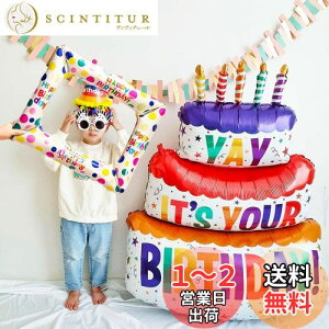 yzGOODCHI TCYIao[ A~ p[eB[ObY P[L tHgt[ t j̎q ̎q 킢 傫 v[g  ʐ^Be (01)