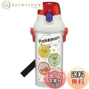 yzXP[^[(Skater) qp NA vX`bN  480ml |PbgX^[ 23 ڐtŐ⋋̊Ǘ PSB5TRC-A