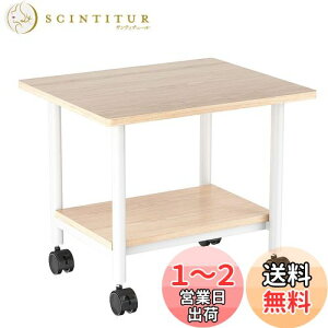 yzIBUYKE v^[ v^[bN LX^[t  fXN [J[g ؐ 48cm×s40cm×37.5cm i fXNS v^[J[g v^[X^h ItB