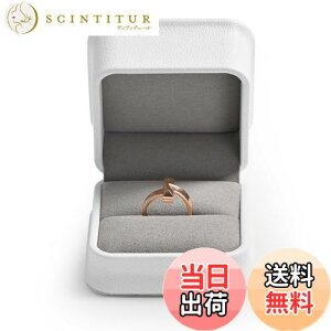 yzOirlv wփP[X v|[Y OP[X PUU[ 1p ^ ~j v[g LO ȂǂɓK MtgP[X H12301 (zCg)