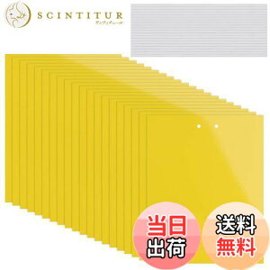 yzKALOLINNA  SV[g  QߊlS ʔS h S ȒPt Q ߒ h nG 쏜 ߊl K[fjO _ ͔| ƒ؉ CG[ (20×10cm,20)