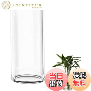 yzDARENYI KX ԕr 傫 35cmt[x[X ~ 傫  ^ ԕr NA Vv  CeA (a12cm 35cm)