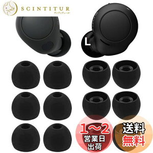 yzC[s[X C[`bv Sonyp WF-C700np WF-C500 p WF-1000XM4p WF-1000XM3p VRC[`bv C[s[X CzJo[ Fit in the Case tBbg  yubN L