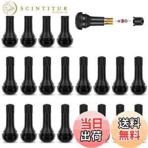 yzGAou 20Zbg ouRAt TR413 ^Cou  Sou