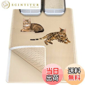 yzYcozy L}bg 90×60cm LgC}bg _uTChxN 4ʊJfUC L}bg юUh~}bg dEVA L}bg njJfUC ~ hA