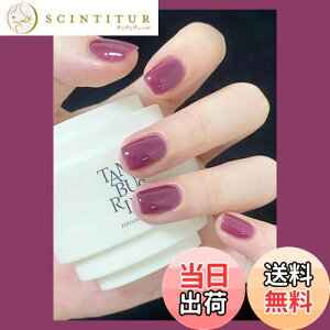 yzFuyunohi lC`bv V[g  Z V[glC`bv n p[v ؍ ʃe[vt ȒPɎt 24Zbg DIY ֗ lCpi r[eB[ t@bV