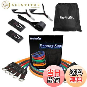 yzTheFitLife g[jO`[u `[u g[jO ؃g`[u (////)