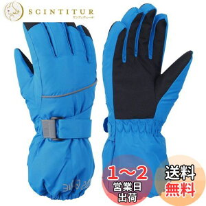 【送料無料】YAPJEB キッズ スキー グローブ ミトン 子ども 冬用手袋 男の子 女の子 スノー手袋 防風 防寒 暖かい 滑り止め 子供用 スキーグローブ スノーボード 雪遊び 通学 アウトドア (4-6歳,