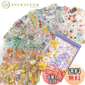 yzAlideco uh t[NXebJ[ V[ R[W f y[p[ fގ g 킢 ԁAAC`SAʕ PET ϐ ؍ V[ Cpm[gfށAL