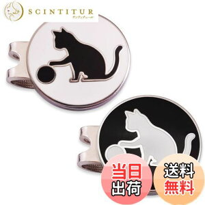 yzAdhere St }[J[ StLbvNbv CʃS{[}[N 킢L  fUC[ 2