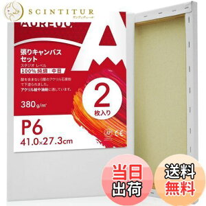 yzAUREUO LoX Zbg P6 (41cmX27.3cm)  100Rbg 2 S Gp |pGn G p ʉEGEANp