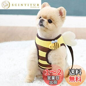 yz n[lX Ht ~co` o U  ybgpi 킢 lC ^ t H~ IV fUC ItsDog CchbO Ki WSISTERS _uVX^[Y ̃n[lX