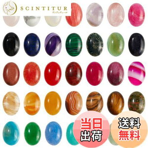 yzSUPERFINDINGS 35F ȉ~` 18x13mm WFXg[J{V i`VZeBbNXg[r[Y 5mm I[otbgobNNH[cNX^J{V CO l
