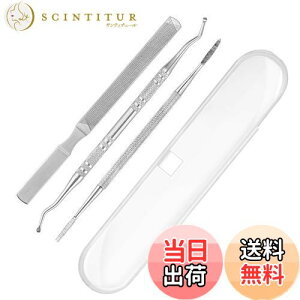 【送料無料】爪垢取り 爪やすり 爪リフター 3本セット ケース付き ステンレス製 爪垢とり 足の爪 爪ケア 巻き爪 厚い爪 ネイルケア