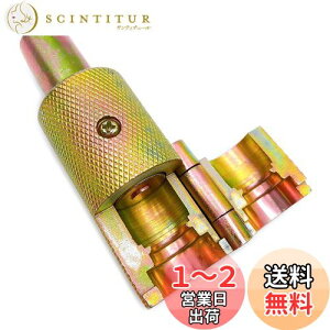 yzMeliore tL  coo H OR c[ JV n}[ pCv h eiX C C coo@ tLpCv p z  ~  (16mm 4)