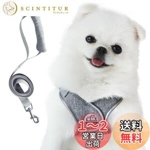 yzMiru pochi(~|b`)  L n[lX ^ ^ q [h Zbg  \tg ybg Ȃ ₷ т S y  U h~ t  CǂɗD