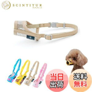 yzKUD p}Y ̌ bṼ}XN ݂h~ ʖi K ʋC ̌ ی pPpiix[W,2Sj