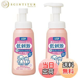 yzyA^CvzCI ybgLC ܂􂦂AXCVv[ qEqLp 230mLx2pbN (܂Ƃߔ) LION