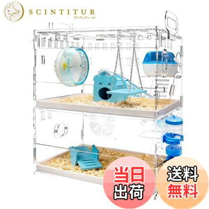 yzYOKITOMO nX^[P[W tNK P[W  g g[fUC |₷I ʋC 2KfUC ^т₷ AN (F)