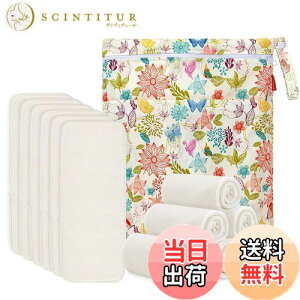 yzDamero zނ 5w|@ۍ\ 12 z ʋC ėp\ `xr[zIc [|[`t