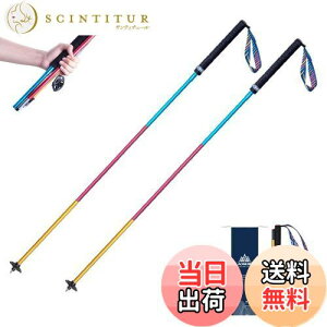 yzTRIWONDER gCjOp|[ 2{Zbg ܂肽ݎ y g|[ gbLO|[ oRXgbN EH[LO|[ mfBbNEH[LO (J