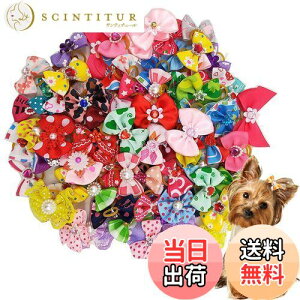 yzKingsie p{ wAoh 20_Zbg ybgp Jt  wAS wAANZT[  A\[g