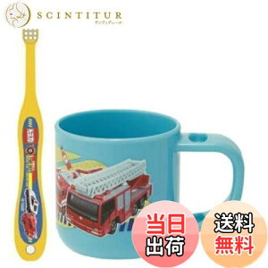 yzXP[^[ (skater) uVZbg uV Zbg X^ht Rbv 3-5ˉp g~J 19 180ml 14.5cm KTB5