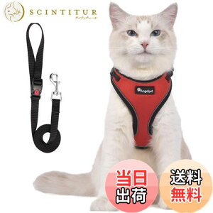 yzL Lp n[lX  L ˂ lR qL q ^ U o Ȃ xXg \tg y ʂ}WbNe[vő TCY߉ 锽 ʋCbV