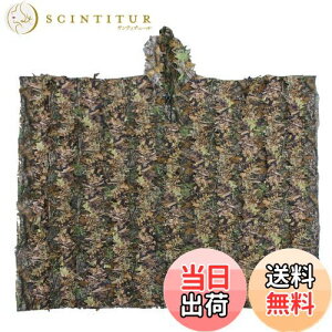 yzSutekus |`^ Jt[W ToQ[ 퓬 M[X[c t[ht