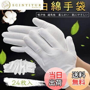 yz[HUOFU] Ȏ ĝ Rbg  Ȃ̎  ߂ĂԂ r Ɨp Ci[ ₷ ]  ێ 芾h~ i hCo[ ^] Ǝ 瑕 