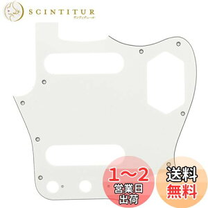 yzMusiclily Pro 10 WK[X^CsbNK[h { Fender Japan JaguarGLM^[pAp[`g3P