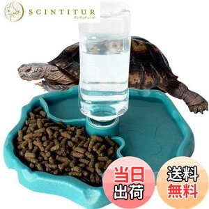 yzIKENOKOI঒ H  a  T/gJQ//Ȃ঒ސpiu[j